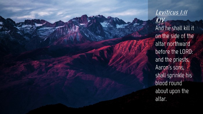 Picture 04 - Leviticus 1:11 KJV Desktop Wallpaper - And he shall kill it on the side of the altar - Desktop Bible Verse Wallpaper