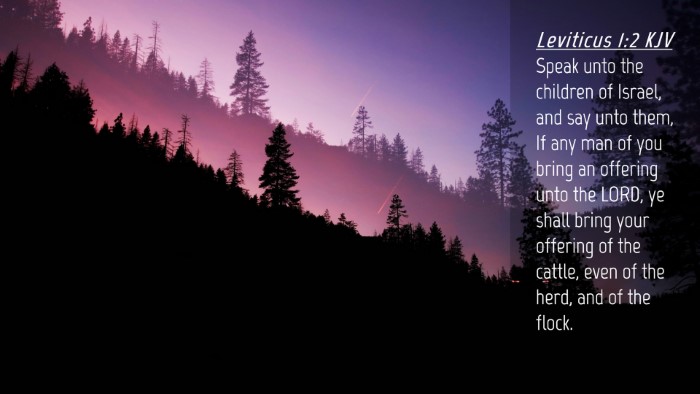 Picture 04 - Leviticus 1:2 KJV Desktop Wallpaper - Speak unto the children of Israel, and say unto - Desktop Bible Verse Wallpaper