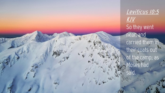 Picture 04 - Leviticus 10:5 KJV Desktop Wallpaper - So they went near, and carried them in their - Desktop Bible Verse Wallpaper