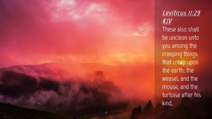 Picture 04 - Leviticus 11:29 KJV Desktop Wallpaper - These also shall be unclean unto you among the - Desktop Bible Verse Wallpaper