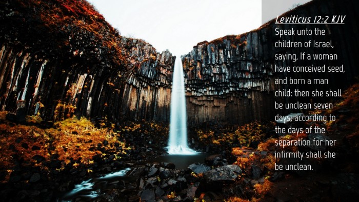 Picture 04 - Leviticus 12:2 KJV Desktop Wallpaper - Speak unto the children of Israel, saying, If a - Desktop Bible Verse Wallpaper