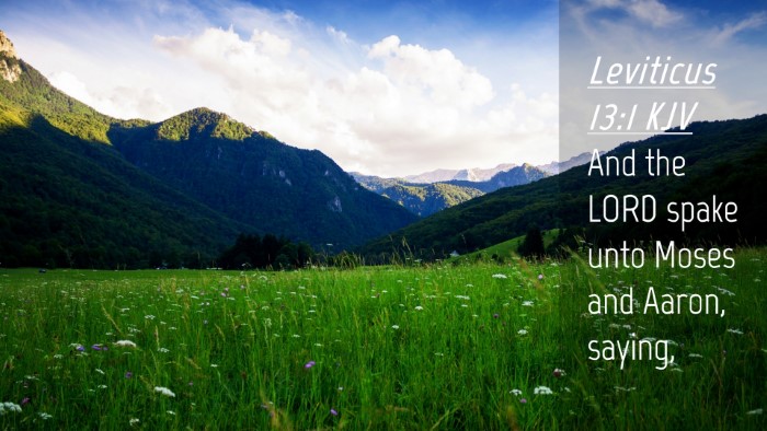 Picture 04 - Leviticus 13:1 KJV Desktop Wallpaper - And the LORD spake unto Moses and Aaron, - Desktop Bible Verse Wallpaper