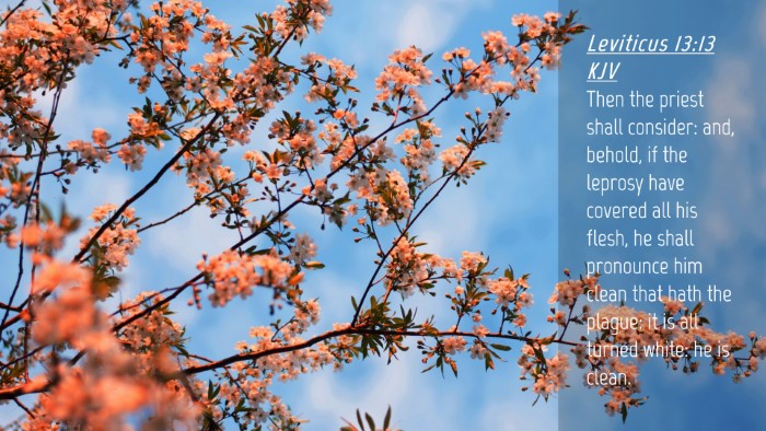 Picture 04 - Leviticus 13:13 KJV Desktop Wallpaper - Then the priest shall consider: and, behold, if - Desktop Bible Verse Wallpaper
