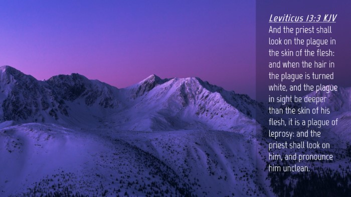 Picture 04 - Leviticus 13:3 KJV Desktop Wallpaper - And the priest shall look on the plague in the - Desktop Bible Verse Wallpaper