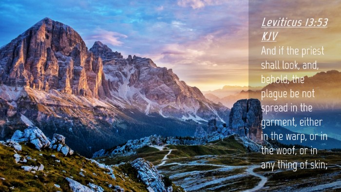 Picture 04 - Leviticus 13:53 KJV Desktop Wallpaper - And if the priest shall look, and, behold, the - Desktop Bible Verse Wallpaper