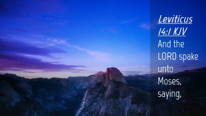 Picture 04 - Leviticus 14:1 KJV Desktop Wallpaper - And the LORD spake unto Moses, - Desktop Bible Verse Wallpaper