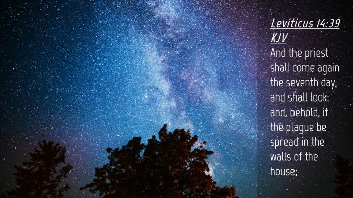 Picture 04 - Leviticus 14:39 KJV Desktop Wallpaper - And the priest shall come again the seventh day, - Desktop Bible Verse Wallpaper