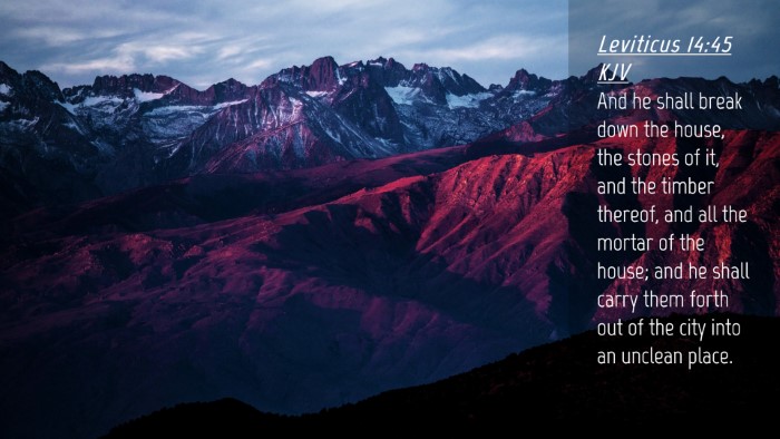 Picture 04 - Leviticus 14:45 KJV Desktop Wallpaper - And he shall break down the house, the stones of - Desktop Bible Verse Wallpaper