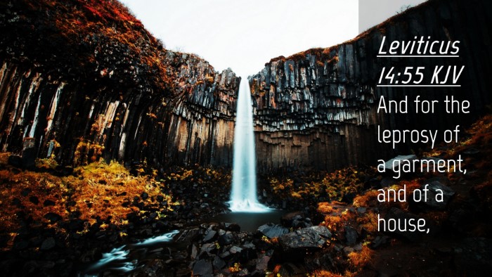 Picture 04 - Leviticus 14:55 KJV Desktop Wallpaper - And for the leprosy of a garment, and of a - Desktop Bible Verse Wallpaper