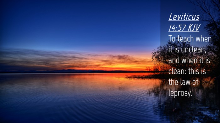 Picture 04 - Leviticus 14:57 KJV Desktop Wallpaper - To teach when it is unclean, and when it is - Desktop Bible Verse Wallpaper
