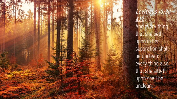 Picture 04 - Leviticus 15:20 KJV Desktop Wallpaper - And every thing that she lieth upon in her - Desktop Bible Verse Wallpaper