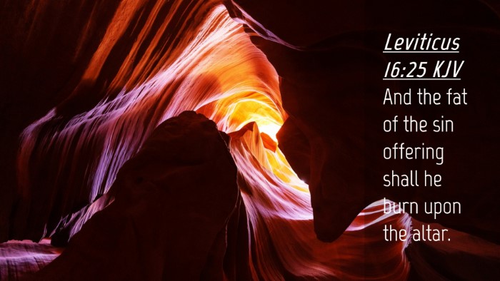 Picture 04 - Leviticus 16:25 KJV Desktop Wallpaper - And the fat of the sin offering shall he burn - Desktop Bible Verse Wallpaper