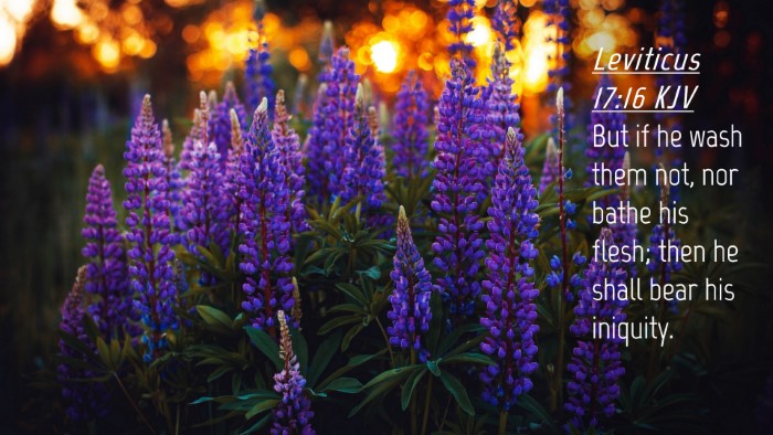 Picture 04 - Leviticus 17:16 KJV Desktop Wallpaper - But if he wash them not, nor bathe his flesh; - Desktop Bible Verse Wallpaper