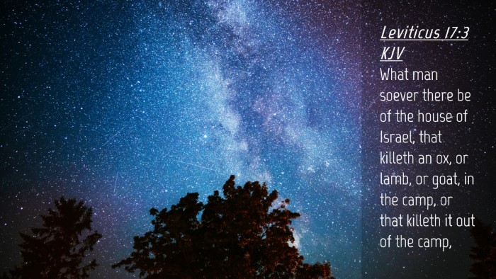Picture 04 - Leviticus 17:3 KJV Desktop Wallpaper - What man soever there be of the house of Israel, - Desktop Bible Verse Wallpaper