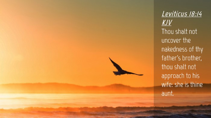 Picture 04 - Leviticus 18:14 KJV Desktop Wallpaper - Thou shalt not uncover the nakedness of thy - Desktop Bible Verse Wallpaper
