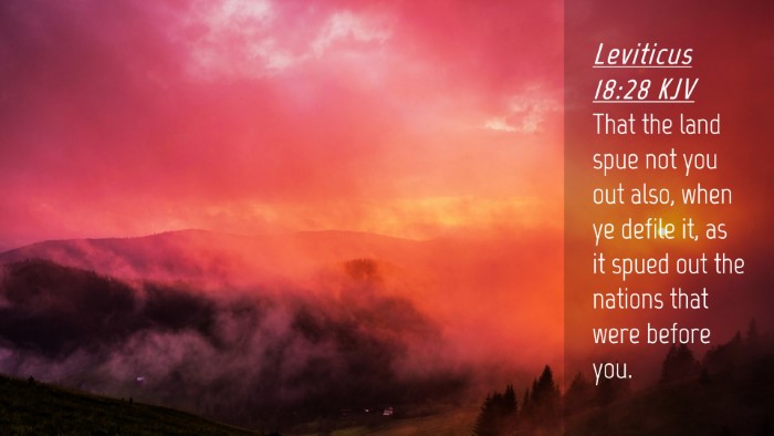 Picture 04 - Leviticus 18:28 KJV Desktop Wallpaper - That the land spue not you out also, when ye - Desktop Bible Verse Wallpaper