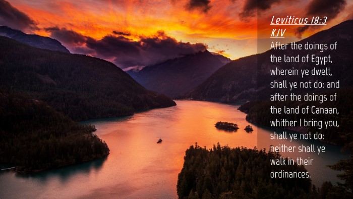 Picture 04 - Leviticus 18:3 KJV Desktop Wallpaper - After the doings of the land of Egypt, wherein ye - Desktop Bible Verse Wallpaper