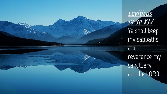 Picture 04 - Leviticus 19:30 KJV Desktop Wallpaper - Ye shall keep my sabbaths, and reverence my - Desktop Bible Verse Wallpaper