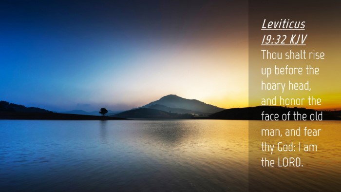 Picture 04 - Leviticus 19:32 KJV Desktop Wallpaper - Thou shalt rise up before the hoary head, and - Desktop Bible Verse Wallpaper
