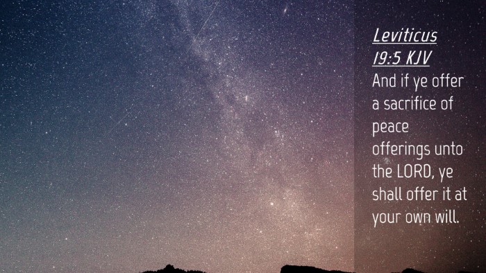 Picture 04 - Leviticus 19:5 KJV Desktop Wallpaper - And if ye offer a sacrifice of peace offerings - Desktop Bible Verse Wallpaper