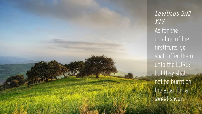 Picture 04 - Leviticus 2:12 KJV Desktop Wallpaper - As for the oblation of the firstfruits, ye shall - Desktop Bible Verse Wallpaper