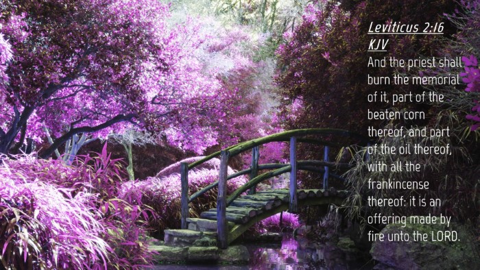 Picture 04 - Leviticus 2:16 KJV Desktop Wallpaper - And the priest shall burn the memorial of it, - Desktop Bible Verse Wallpaper