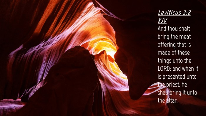 Picture 04 - Leviticus 2:8 KJV Desktop Wallpaper - And thou shalt bring the meat offering that is - Desktop Bible Verse Wallpaper