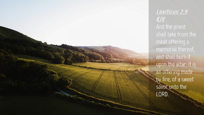 Picture 04 - Leviticus 2:9 KJV Desktop Wallpaper - And the priest shall take from the meat offering - Desktop Bible Verse Wallpaper