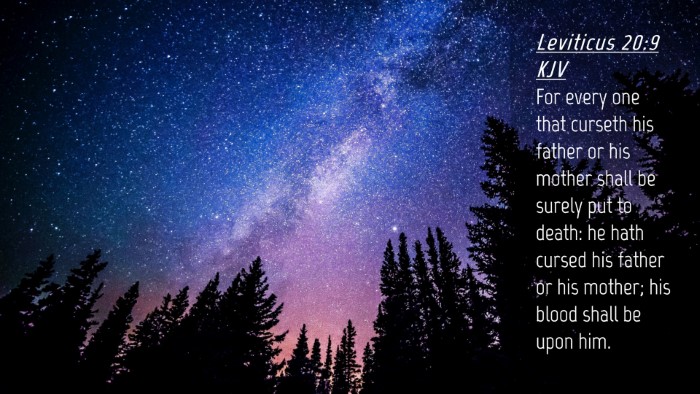 Picture 04 - Leviticus 20:9 KJV Desktop Wallpaper - For every one that curseth his father or his - Desktop Bible Verse Wallpaper