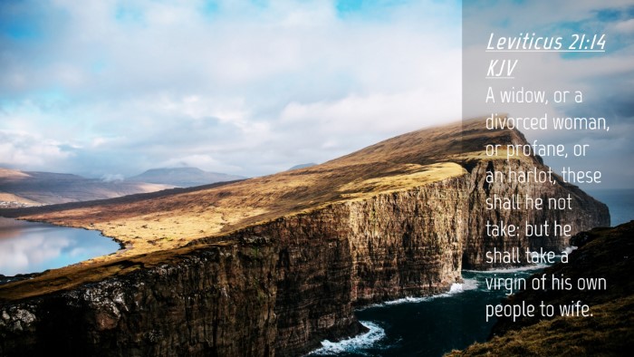 Picture 04 - Leviticus 21:14 KJV Desktop Wallpaper - A widow, or a divorced woman, or profane, or an - Desktop Bible Verse Wallpaper