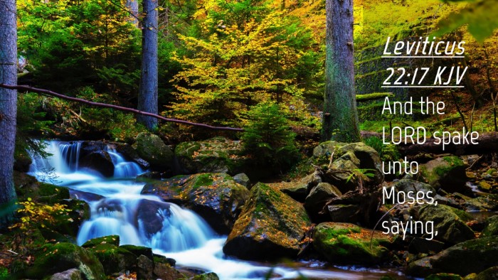 Picture 04 - Leviticus 22:17 KJV Desktop Wallpaper - And the LORD spake unto Moses, - Desktop Bible Verse Wallpaper