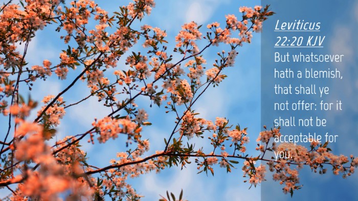 Picture 04 - Leviticus 22:20 KJV Desktop Wallpaper - But whatsoever hath a blemish, that shall ye not - Desktop Bible Verse Wallpaper