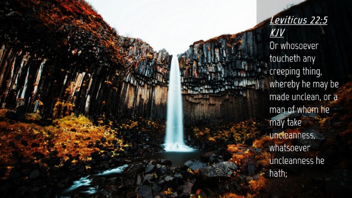 Picture 04 - Leviticus 22:5 KJV Desktop Wallpaper - Or whosoever toucheth any creeping thing, whereby - Desktop Bible Verse Wallpaper