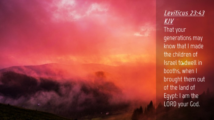 Picture 04 - Leviticus 23:43 KJV Desktop Wallpaper - That your generations may know that I made the - Desktop Bible Verse Wallpaper