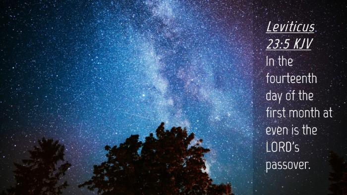 Picture 04 - Leviticus 23:5 KJV Desktop Wallpaper - In the fourteenth day of the first month at even - Desktop Bible Verse Wallpaper