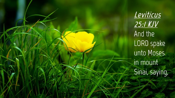 Picture 04 - Leviticus 25:1 KJV Desktop Wallpaper - And the LORD spake unto Moses in mount Sinai, - Desktop Bible Verse Wallpaper