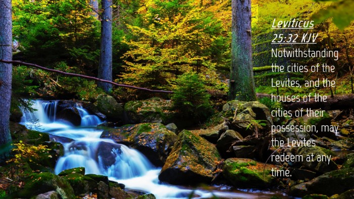 Picture 04 - Leviticus 25:32 KJV Desktop Wallpaper - Notwithstanding the cities of the Levites, and - Desktop Bible Verse Wallpaper