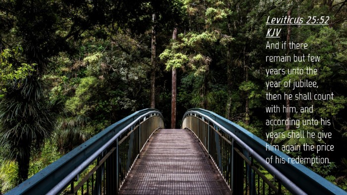 Picture 04 - Leviticus 25:52 KJV Desktop Wallpaper - And if there remain but few years unto the year - Desktop Bible Verse Wallpaper