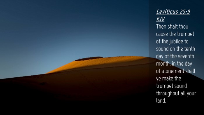 Picture 04 - Leviticus 25:9 KJV Desktop Wallpaper - Then shalt thou cause the trumpet of the jubilee - Desktop Bible Verse Wallpaper