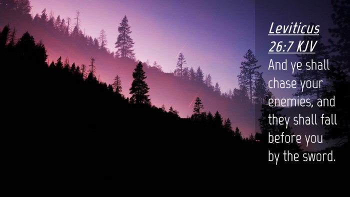 Picture 04 - Leviticus 26:7 KJV Desktop Wallpaper - And ye shall chase your enemies, and they shall - Desktop Bible Verse Wallpaper