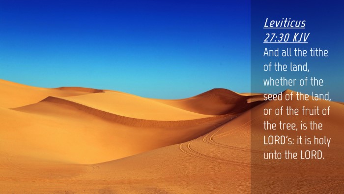 Picture 04 - Leviticus 27:30 KJV Desktop Wallpaper - And all the tithe of the land, whether of the - Desktop Bible Verse Wallpaper