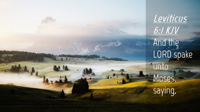 Picture 04 - Leviticus 6:1 KJV Desktop Wallpaper - And the LORD spake unto Moses, - Desktop Bible Verse Wallpaper