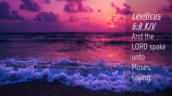 Picture 04 - Leviticus 6:8 KJV Desktop Wallpaper - And the LORD spake unto Moses, - Desktop Bible Verse Wallpaper