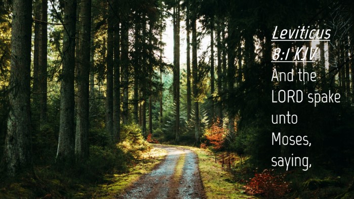 Picture 04 - Leviticus 8:1 KJV Desktop Wallpaper - And the LORD spake unto Moses, - Desktop Bible Verse Wallpaper