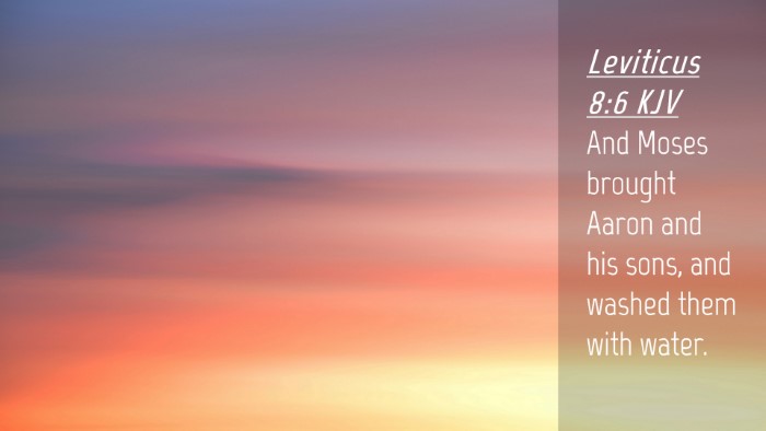 Picture 04 - Leviticus 8:6 KJV Desktop Wallpaper - And Moses brought Aaron and his sons, and washed - Desktop Bible Verse Wallpaper