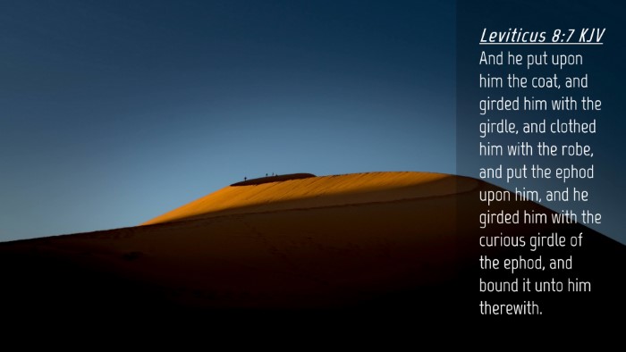 Picture 04 - Leviticus 8:7 KJV Desktop Wallpaper - And he put upon him the coat, and girded him with - Desktop Bible Verse Wallpaper