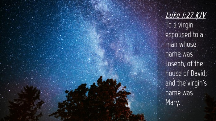 Picture 04 - Luke 1:27 KJV Desktop Wallpaper - To a virgin espoused to a man whose name was - Desktop Bible Verse Wallpaper