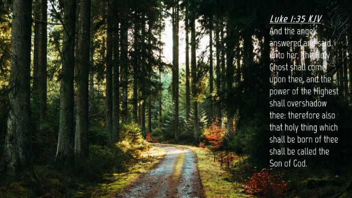 Picture 04 - Luke 1:35 KJV Desktop Wallpaper - And the angel answered and said unto her, The - Desktop Bible Verse Wallpaper