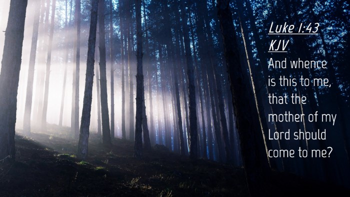 Picture 04 - Luke 1:43 KJV Desktop Wallpaper - And whence is this to me, that the mother of my - Desktop Bible Verse Wallpaper