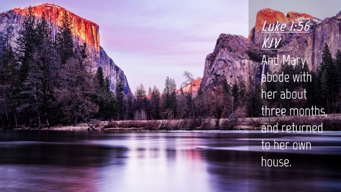 Picture 04 - Luke 1:56 KJV Desktop Wallpaper - And Mary abode with her about three months, and - Desktop Bible Verse Wallpaper
